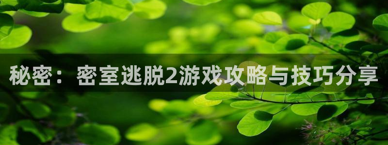 高德娱乐平台：秘密：密室逃脱2游戏攻略与技巧分享
