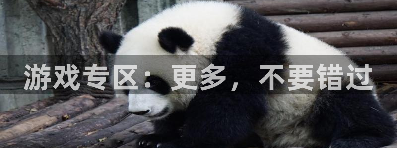 高德娱乐2登录：游戏专区：更多，不要错过